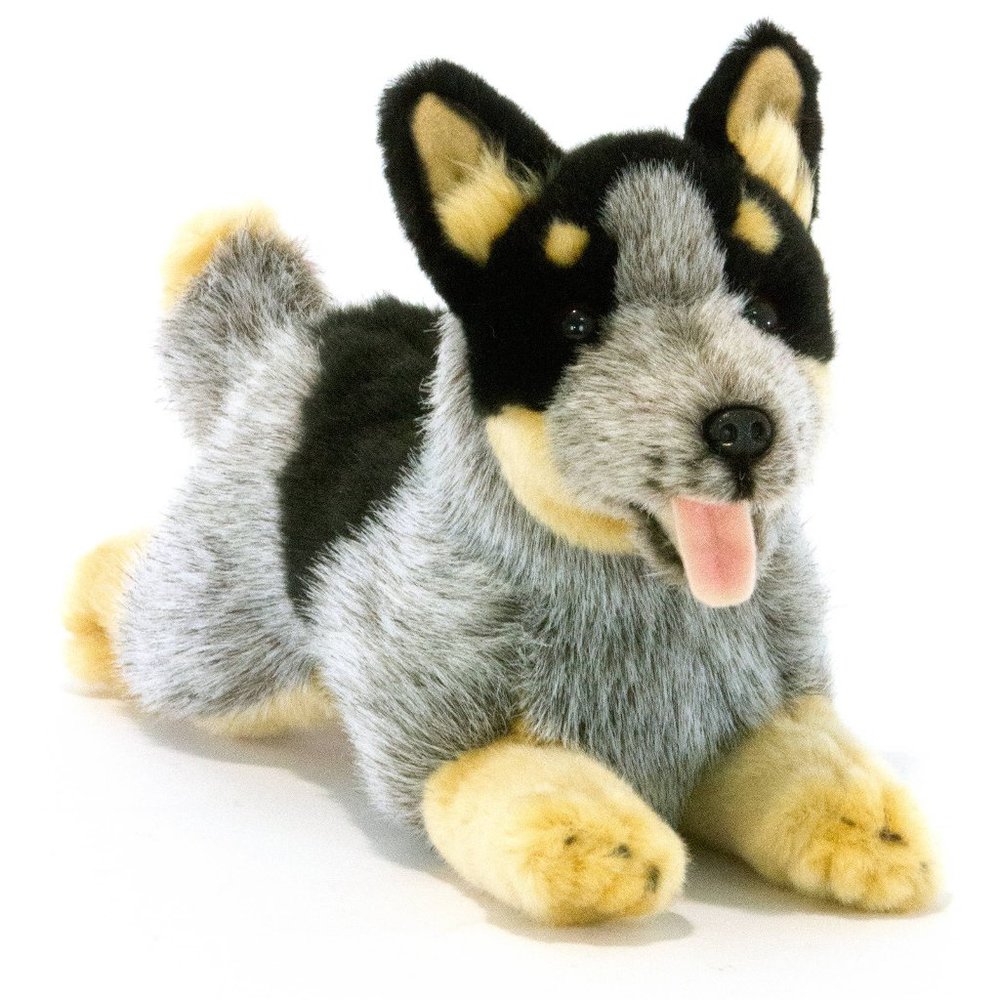 Austrailian Cattle Dog Heeler by Bocchetta
